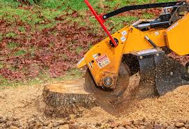 Professional Tree Care in Solvang, CA